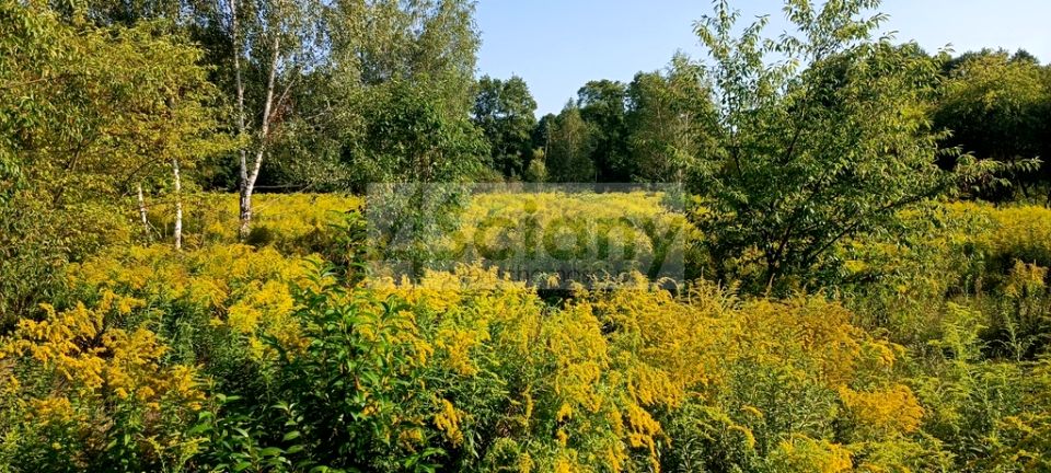 Działka budowlana Milanówek