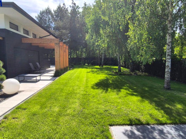 Dom Musuły sprzedaż