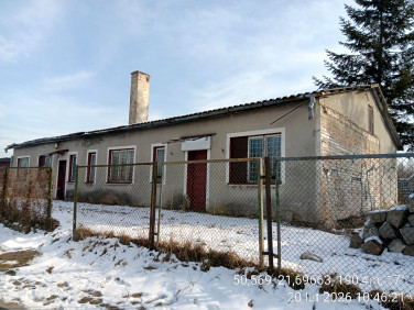 Budynek użytkowy Nowa Dęba