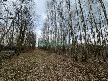 Działka budowlana Słubica B