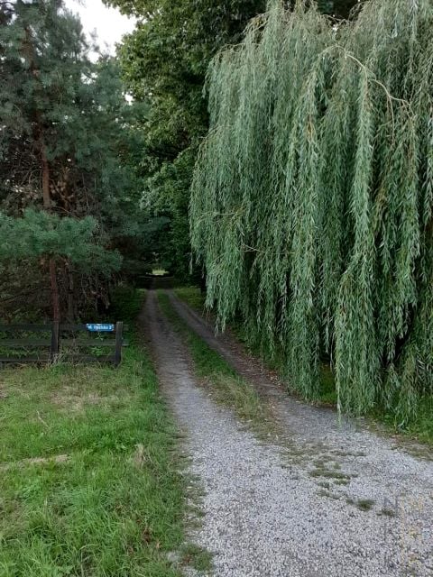 Zdjęcie 3