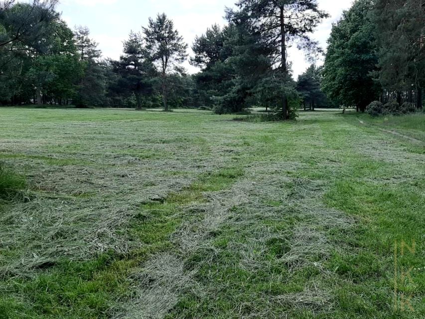 Zdjęcie 2