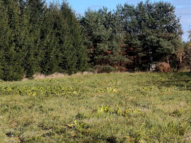 Działka inwestycyjna Przypki