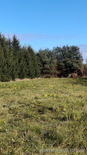 Działka inwestycyjna Przypki