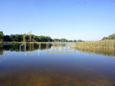 Działka rekreacyjna Dobra