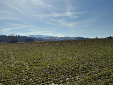 Działka budowlana Korzenna