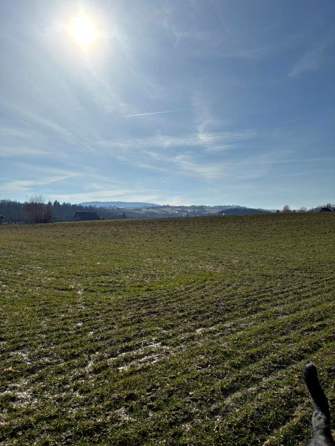 Działka budowlana Korzenna