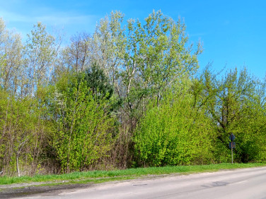 Działka Góra Kalwaria