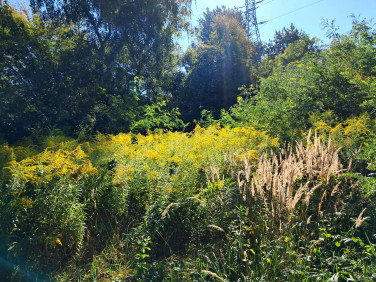 Działka inna Sosnowiec