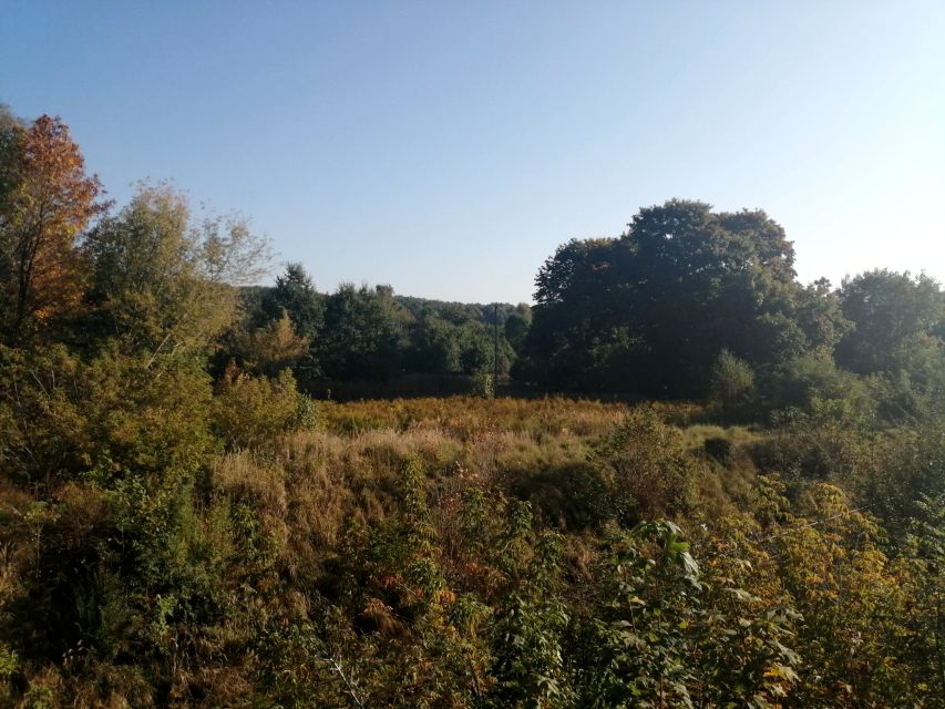 Działka inna Będzin