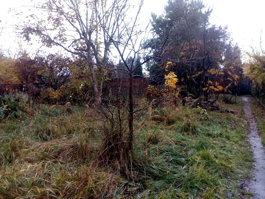 Działka inna Gliwice