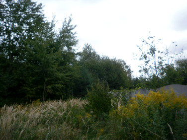 Działka inna Tarnowskie Góry