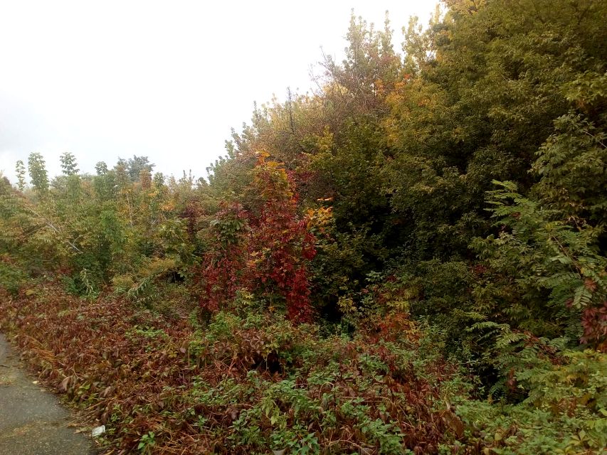 Działka inna Bieruń