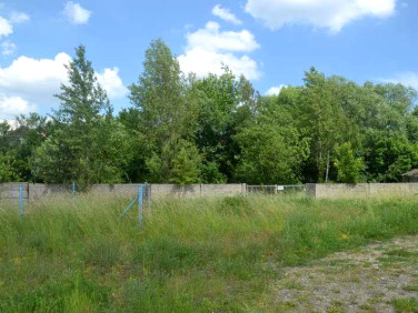 Działka usługowa Wieruszów