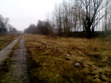 Działka przemysłowa Dąbrowa Białostocka