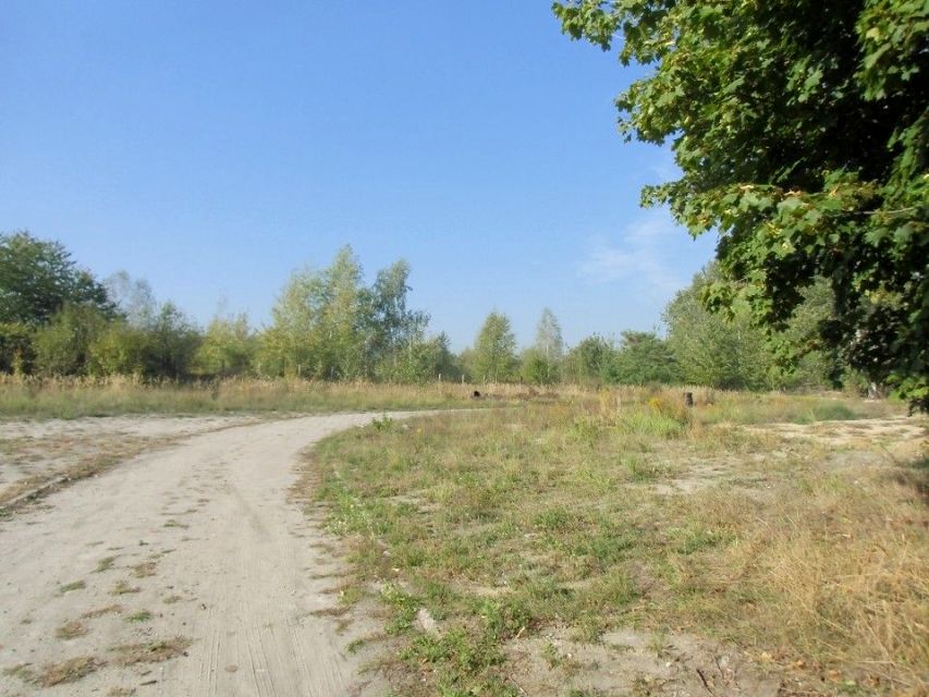 Działka inna Pyskowice