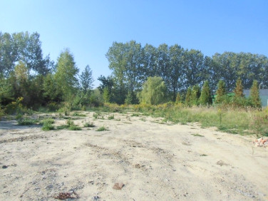 Działka inna Pyskowice