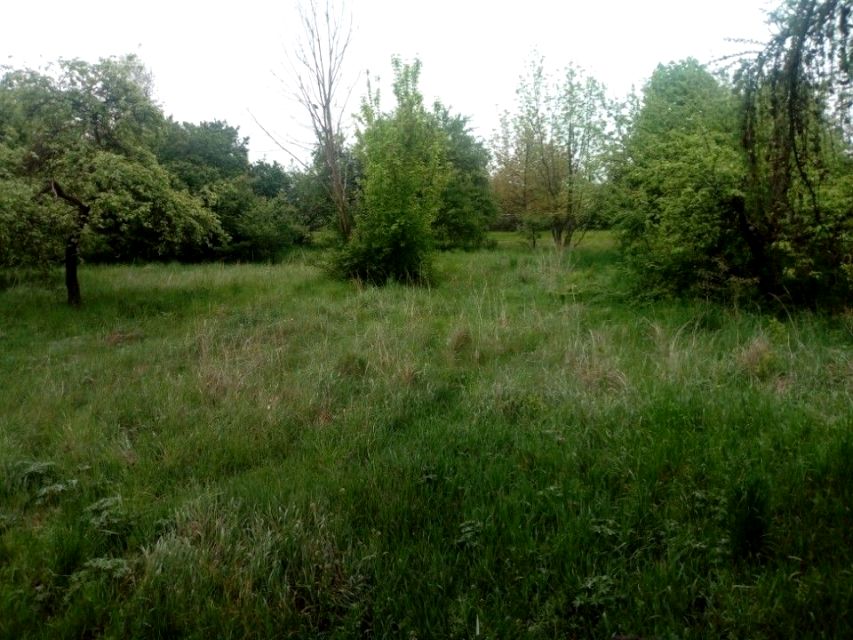 Działka inna Rudniki