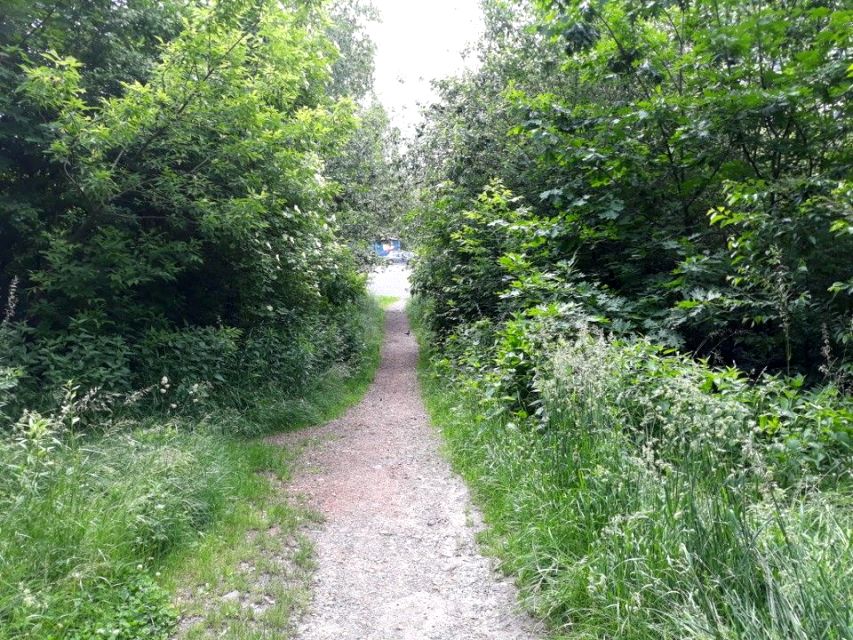 Działka inna Ruda Śląska