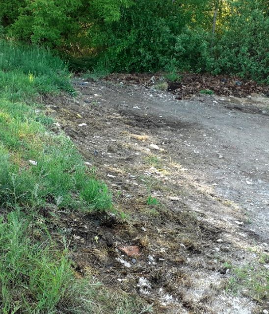 Działka usługowa Zabrze