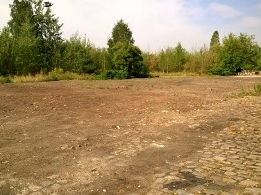 Działka usługowa Ruda Śląska