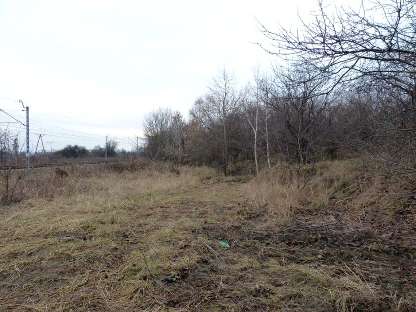 Działka usługowa Częstochowa