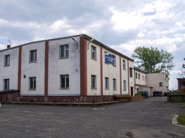 Lokal Kędzierzyn-Koźle