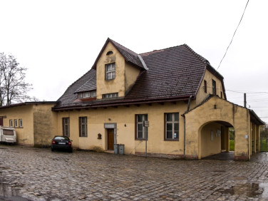 Lokal Czarnowąsy