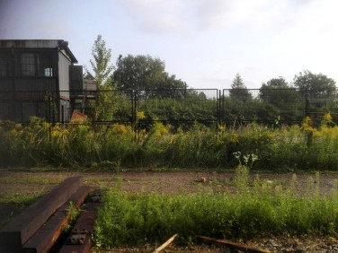 Lokal Czechowice-Dziedzice