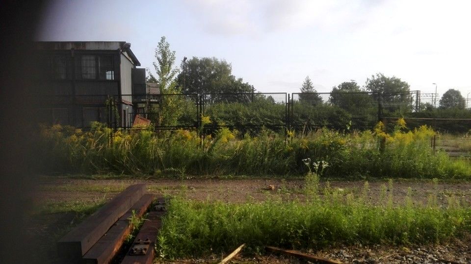 Lokal Czechowice-Dziedzice