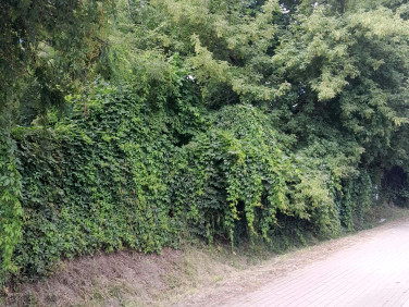 Działka przemysłowa Nowy Dwór Mazowiecki