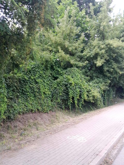 Działka przemysłowa Nowy Dwór Mazowiecki