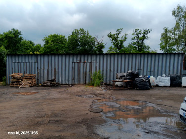 Lokal Dąbrowa Górnicza