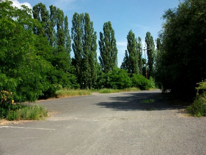 Lokal Bielsko-Biała