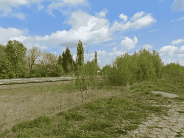 Działka przemysłowa Mordy