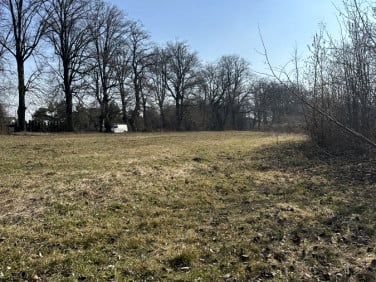 Działka budowlana Nasutów sprzedam