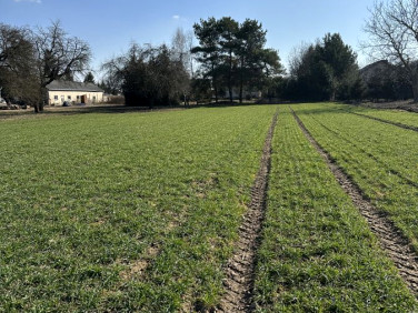 Działka budowlana Smugi