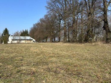 Działka budowlana Nasutów