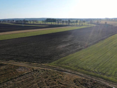 Działka budowlana Zosin sprzedam