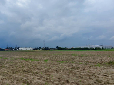 Działka budowlana Kolonia Lesznowola sprzedam