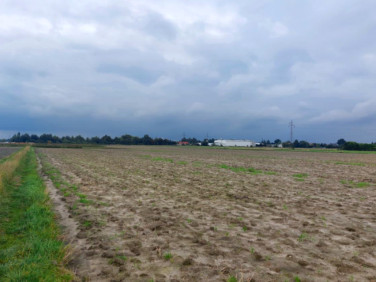 Działka budowlana Kolonia Lesznowola