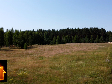 Działka Lipowy Most