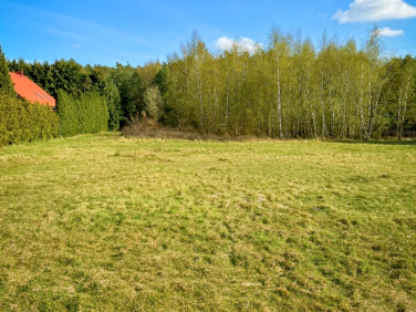 Działka Mieściska
