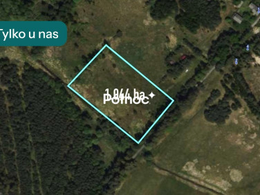 Działka leśna Lisów