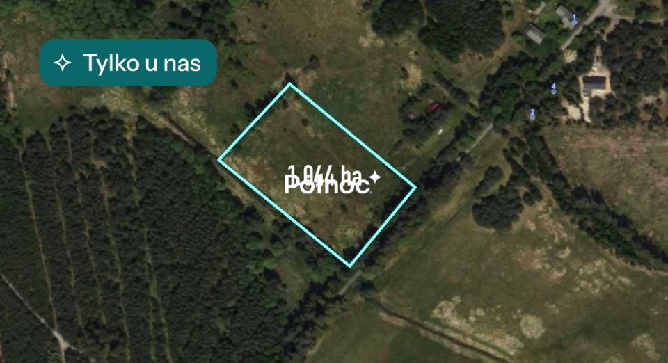 Działka leśna Lisów