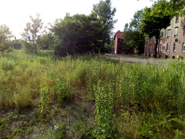 Działka inna Pyskowice