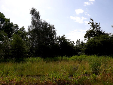 Działka inna Zabrze