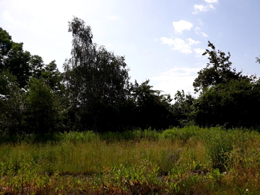 Działka inna Zabrze