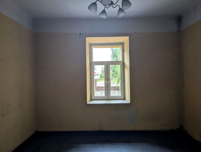 Zdjęcie 3