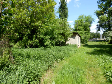 Działka Drzewce-Kolonia